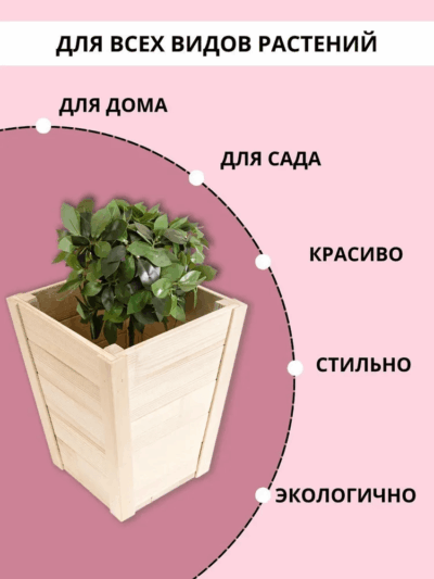 Кашпо для цветов из натурального дерева